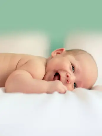 bebé